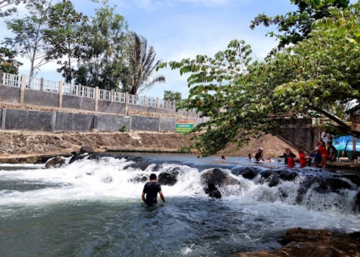 Nikmati Sensasi Terapi Ikan dan Mandi di Wisata Kali Madek Lampung Timur 