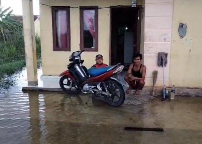 Dua Desa di Mesuji Lampung Terendam Banjir