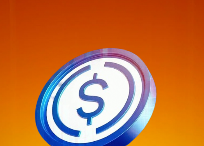 Saham Circle Naik 15%, Kinerja USDC Jadi Sorotan Investor