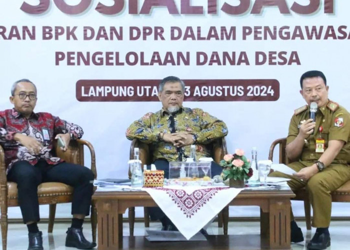 Peran BPK dan DPR Dalam Pengawasan Pengelolaan DD