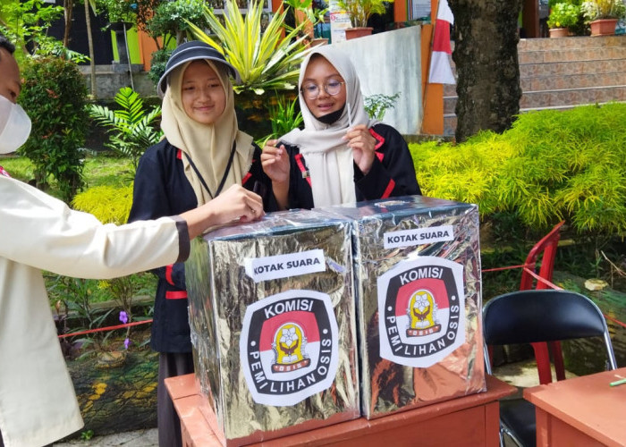SMPN 14 Bandar Lampung Gelar Pemira OSIS Perdana, Ini Hasilnya