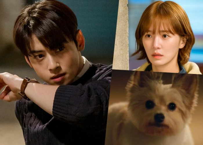 A Good Day To Be A Dog, Ketika Cha Eun Woo Takut Bertemu Park Gyu Young