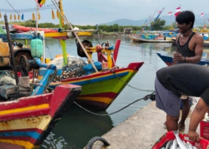 Prakiraan Cuaca Maritim Lampung 10–13 Agustus 2026, Ini Wilayah Perairan yang Rawan Tinggi  Gelombang