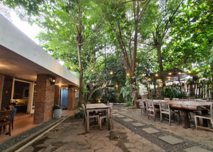Wiseman Cafe & Resto, Tempat Nongkrong Berkonsep Kebun Bandar Lampung, Ada Varian Masakan Tradisional Lezat 