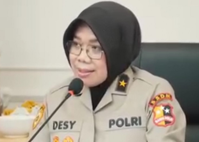 Profil Brigjen Pol Desy Andriani, Eks Dirtipid PPA dan PPO Bareskrim Polri yang Purna Tugas