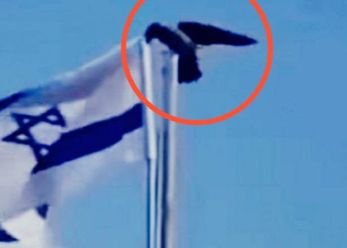 Seekor Burung Gagak Lepaskan Bendera Israel, Bisa Jadi Pertanda Kiamat?