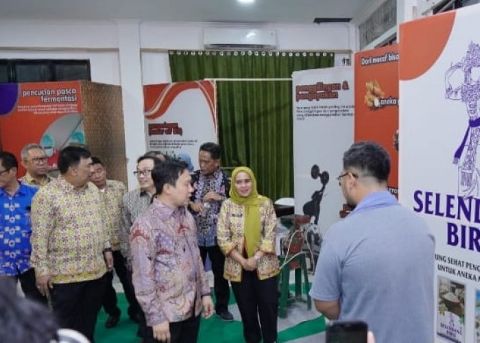 Dorong UMKM Naik Kelas Lewat Digitalisasi dan Penguatan Branding