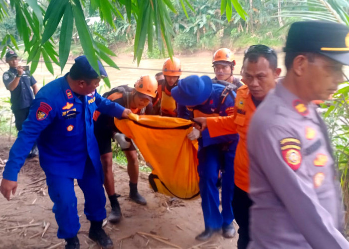 IRT Korban Serangan Buaya di Sungai Semaka Tanggamus Lampung Ditemukan, Kondisinya Sudah Begini 