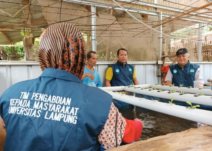 Tim DHR Unila Sosialisasikan Program Budidaya Ikan Lele Sistem Akuaponik Berbasis Teknologi Bioflok