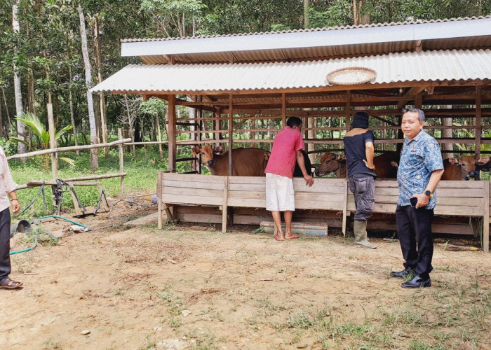 Jelang Idul Adha, Pemkab Mesuji Perketat Pengawasan Kesehatan Hewan Kurban