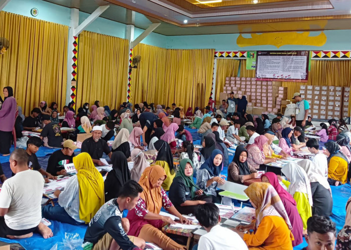 KPU Tanggamus Lampung Libatkan Ratusan Pekerja, Target Pelipatan Suara Selesai 15 Januari 2024  