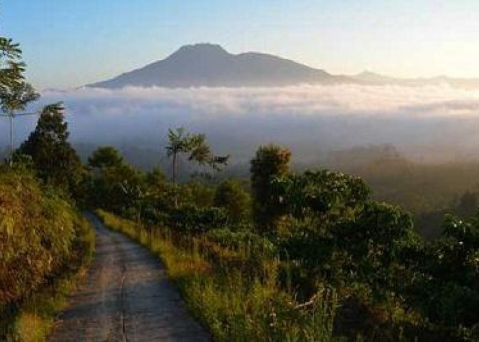 5 Rekomendasi Gunung di Lampung Bagi Pendaki yang Wajib Diketahui, No 2 Sering Dikunjungi
