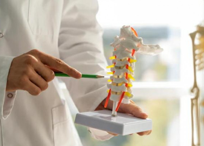 Simak, Begini Cara Mencegah Osteoporosis
