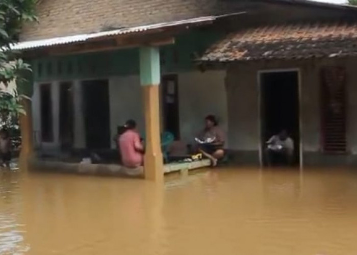 Banjir Rendam Belasan Rumah di Kampung Sukajawa Lampung Tengah