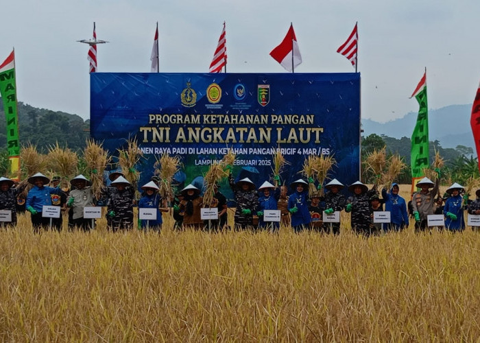 Program Ketahanan Pangan TNI AL Dukung Makan Siang Bergizi