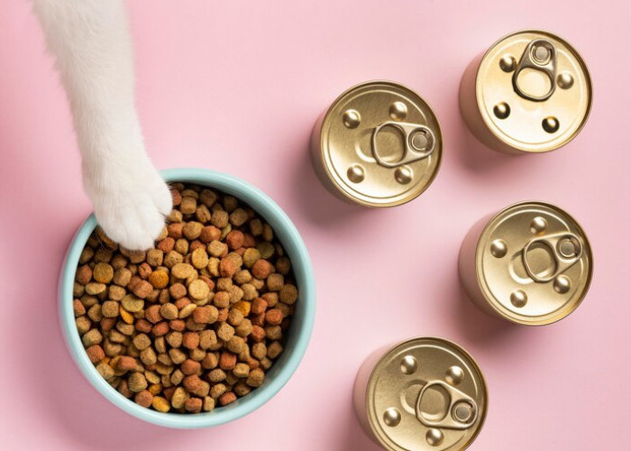 Manakah yang Baik untuk Makanan Kucing, Kering atau Basah?
