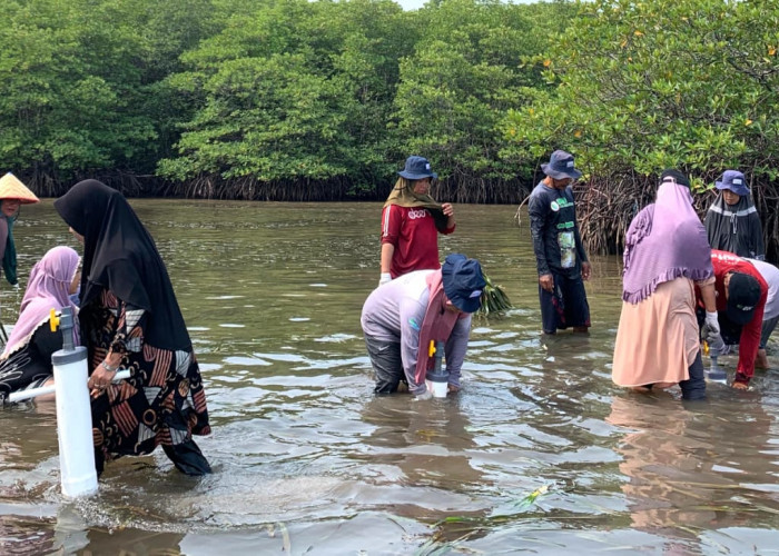 PT Bukit Asam Unit Pelabuhan Tarahan Restorasi Padang Lamun di Ekowisata Cuku Nyinyi Pesawaran Lampung