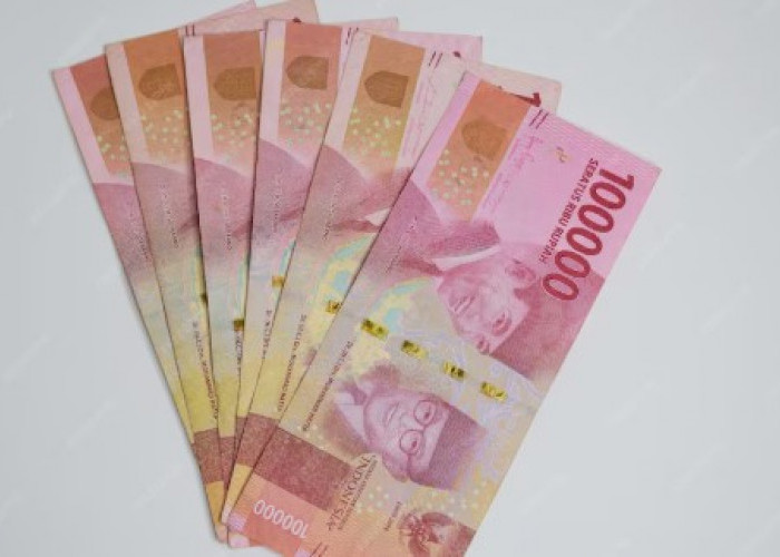 Cek Status BLT Dana Desa 2026 Tahap 2, Panduan Lengkap Online dan Offline