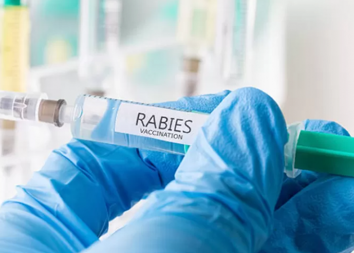 Vaksinasi Hewan Rabies di Mesuji Segera Dimulai September 2023 Nanti