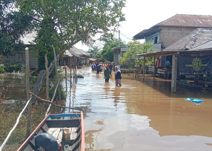 Banjir Masih Merendam Desa Talang Batu Mesuji