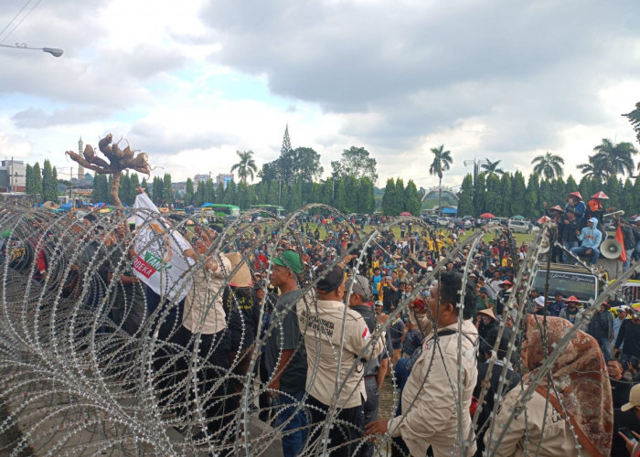 Geruduk Kantor Gubernur Lampung, Petani Pertanyaan Penerpana Harga Terbaru Singkong