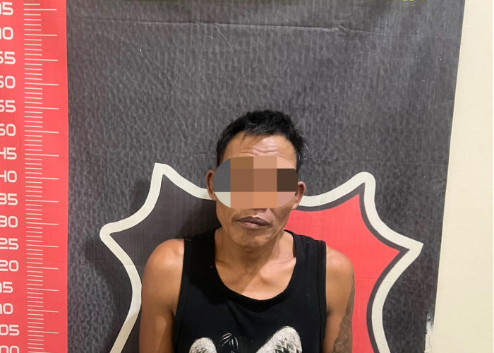 Curi 50 Kilogram Biji Kopi Milik Warga, Pria di Lampung Utara Ditangkap Polisi