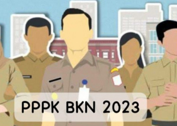 Simak! Hasil Tes PPPK Formasi Kesehatan dan Teknis di Mesuji Lampung
