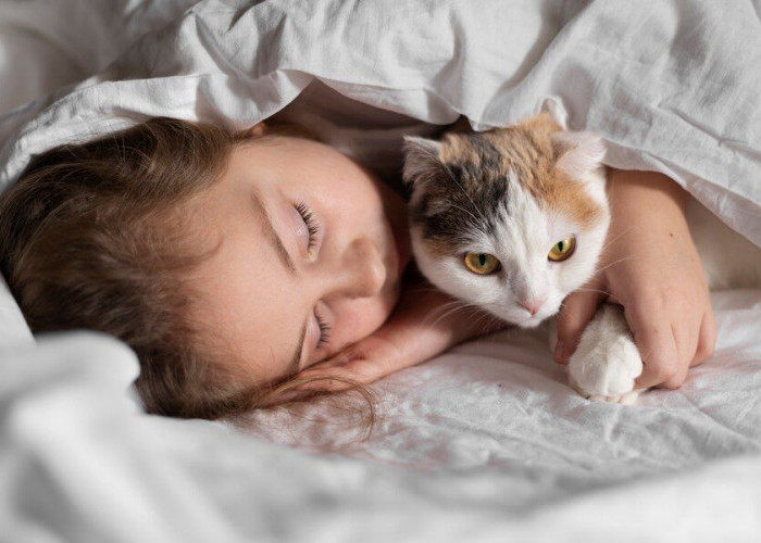 Manfaat Psikologis Bagi Manusia Jika Memelihara Kucing