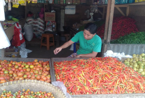 Harga Cabai dan Bawang Merah di Pasar Tradisonal Turun, Berikut Ini Daftar Harga Sembako di Bandar Lampung