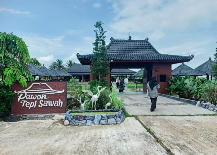 Angin Sepoi Pedesaan Hingga Hangatnya Kebersamaan Sambil Destinasi Kuliner Di Pawon Tepi Sawah Lampung Timur