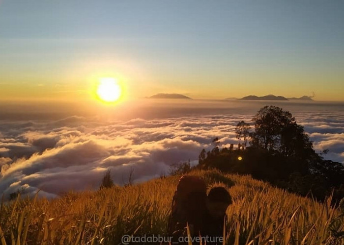 Dibalik Keindahan Wisata Gunung Wilis Madiun Jawa Timur, Ada Belasan Misteri  Membuat Bulu Kuduk Berdiri