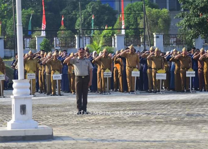 Pejuang PNS Siap-siap, Pemkab Mesuji Bakal Buka 63 Formasi CPNS