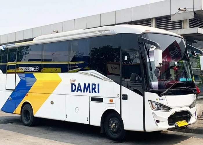 DAMRI Buka Rute Baru Lampung - Yogyakarta, Dapat Bonus All Can You Eat 