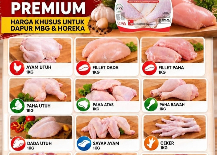 Dukung Program MBG dan Horeka, Prima Mart Siapkan Pasokan Ayam Premium Bersertifikat Halal-NKV