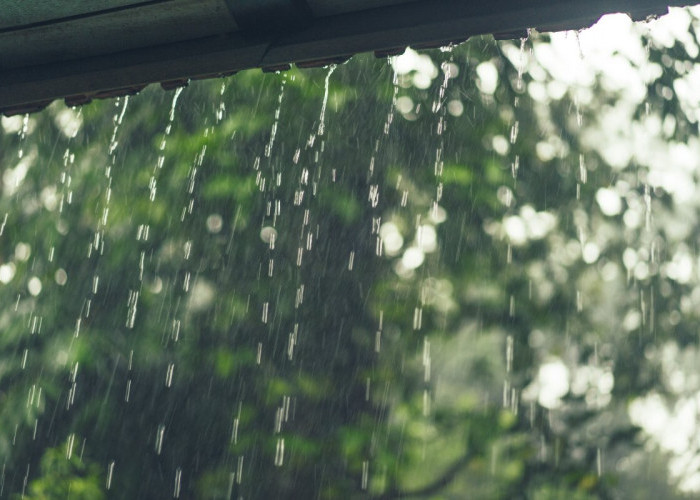 Benarkah Basah Karena Hujan Membuat Sakit? Ayo Simak Tips Tetap Sehat Saat Cuaca Hujan