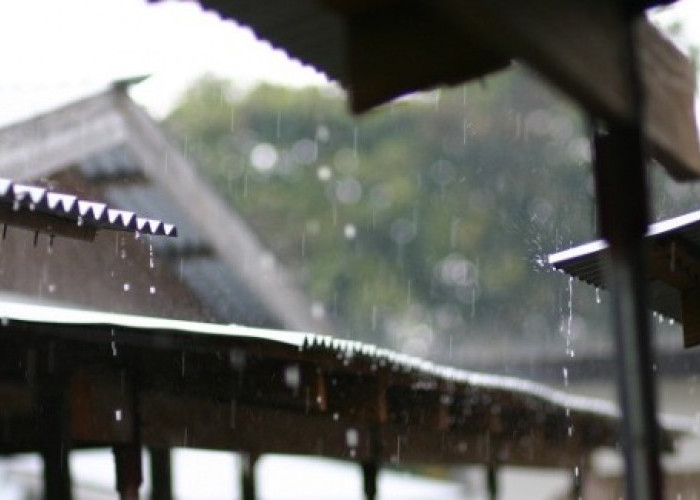 Dampak El Nino Mulai Berkurang, BMKG Prediksi Musim Hujan Datang di Akhir Oktober