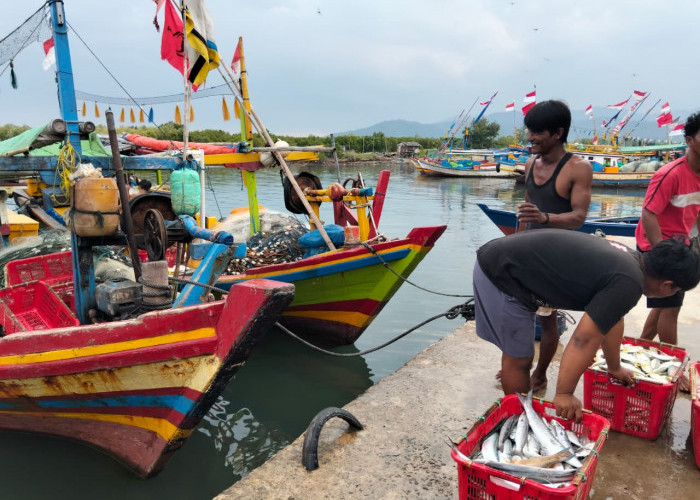 Cuaca Ekstrem Hantam Perairan Lampung: Nelayan Paceklik, Harga Ikan di Pasar Bergejolak