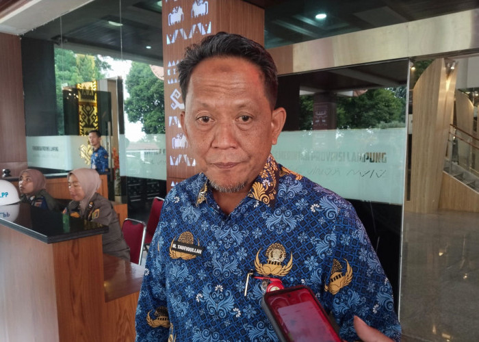 Pemprov Lampung Kejar PAD Rp18 Miliar, Perketat Penertiban Infrastruktur Telekomunikasi