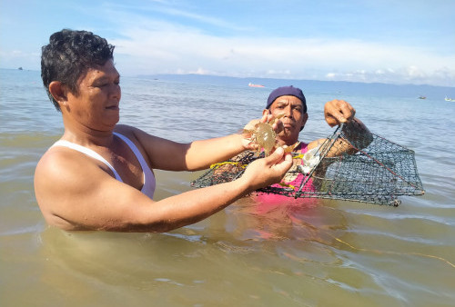 Berlibur Sambil Menjaring Kepiting Rajungan di Teluk Semaka Kotaagung 