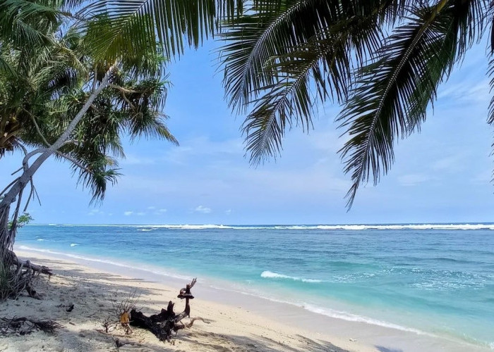 Cukup Bayar Rp 5 Ribu Saja, Daftar Wisata Pantai di Lampung Ini Jadi Rekomendasi Liburan Low Budget