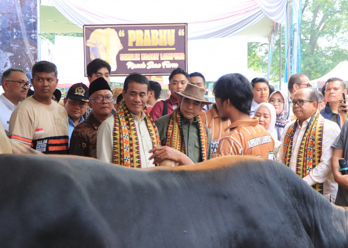 Pj. Gubernur Lampung Samsudin Dukung Wujudkan Ketahanan Pangan Nasional