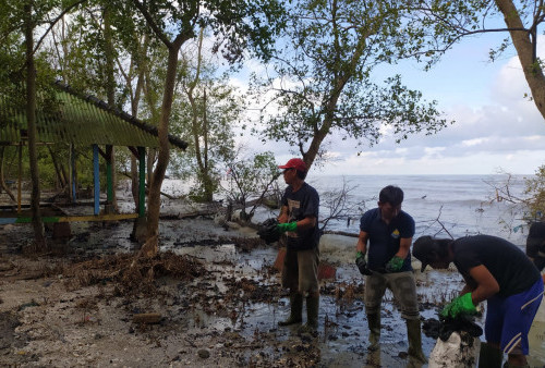 Pencemaran Laut di Lampung Timur Berakibat Dampak Jangka Panjang 