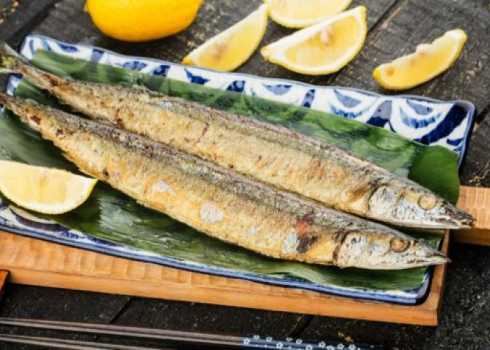 Mengenal 5 Fakta Ikan Shasimo, Ikan Viral yang Dimakan Cipung