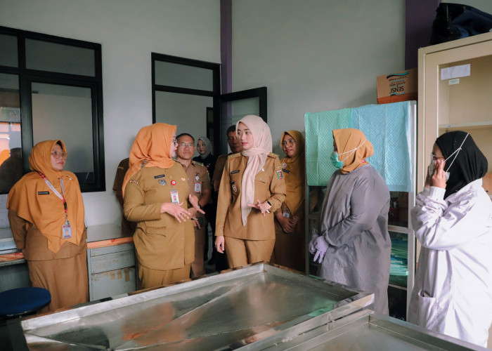 Rumah Sakit Hewan Lampung Ditargetkan Beroperasi Penuh Dua Pekan Lagi, Siap Layani Operasi hingga USG