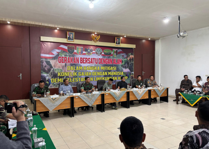 Gubernur Mirza Tegaskan Solusi Permanen Atasi Konflik Gajah-Manusia di Way Kambas