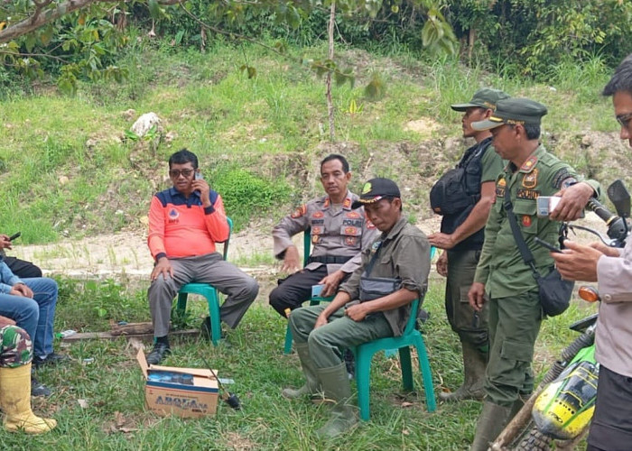 Gajah Kelompok Bunga Akhirnya Memasuki Kawasan TNBBS