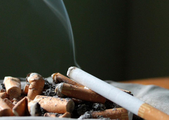Resmi Naik, Ini Harga Rokok Terbaru Di Awal Tahun 2024