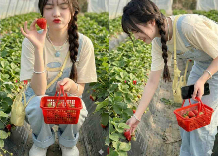 Prompt Gemini AI Ciptakan Potret Ceria di Greenhouse Stroberi, Gaya Natural dan Manis Bikin Gemas