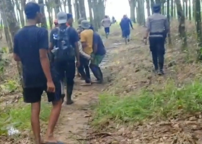 Tragis! Kades Braja Asri Tewas Terinjak Gajah Liar di Lampung Timur