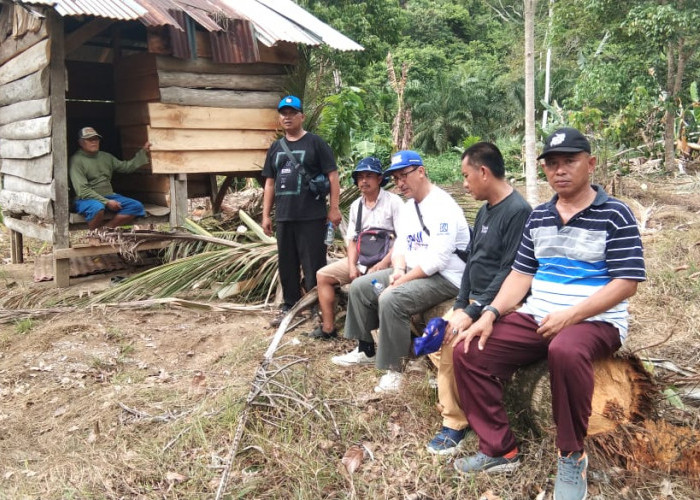 Rombongan Gajah Liar Hancurkan 11 Gubuk Warga di Pesisir Barat Lampung